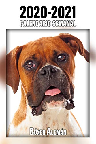 2020-2021 Calendario Semanal Bóxer Alemán: 221 Páginas | Tamaño A5 | 24 Meses | 1 Semana en 2 Páginas | Planificador | Agenda Semana Vista | Canófilo | Perro | En Español