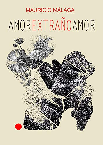 Amor extraño amor (Pluma Redonda nº 1)