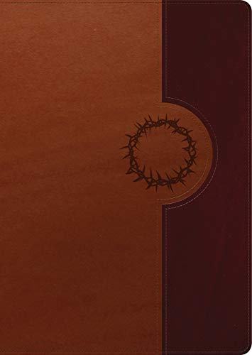 Biblia de Estudio del Diario Vivir Ntv, Letra Grande, Tutone