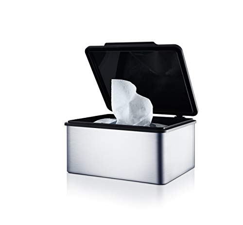 Blomus 68821 Menoto - Caja para Toallitas Húmedas, Acero Inoxidable Mate, 7.5x15x13cm