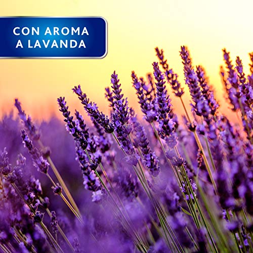 Bonodor Control Polillas Cubos Lavanda, 20 Unidades