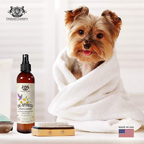 De-Stress Lavanda y Manzanilla Aromaterapia Refrescar y brillante en spray para los animales domésticos, la preparación del perro del aerosol, Perfume Perro, Perro de Colonia y Pet Odor Eliminator