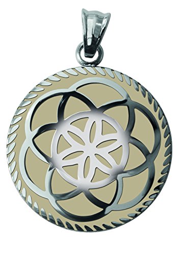 Dreamcatcher TF052MSSCR señorías colgante medio acero inoxidable flor