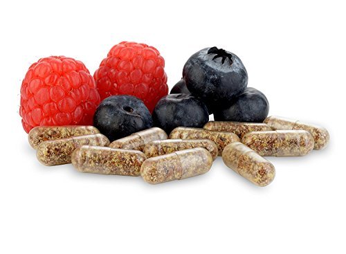 Equilibrium Daily 115-Strain Probiotic Prebiótico - El más alto conteo de deformaciones en el mundo - Suplemento efectivo y fácil de tragar- 1 Botella