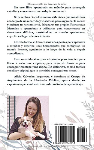 ESTRUCTURAS MENTALES para estudiar en momentos difíciles