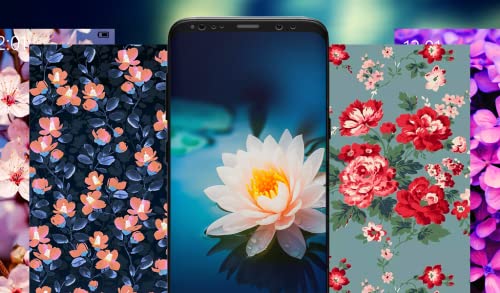 Flower Wallpapers