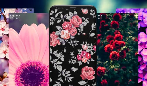 Flower Wallpapers