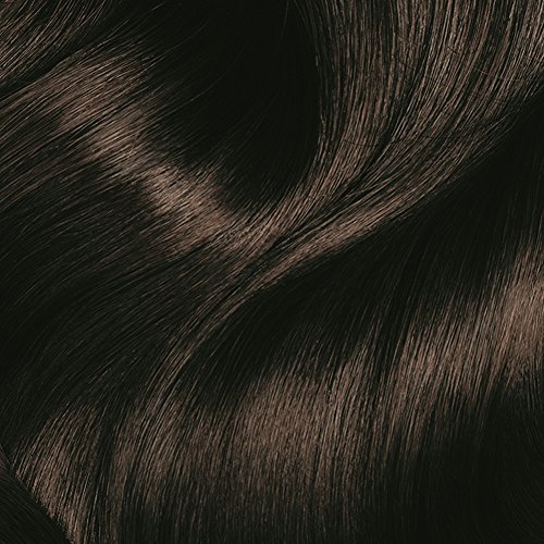 GARNIER Movida 45 El Pelo Marrón Oscuro Sin Estrosaante Amoníaco