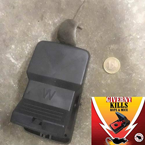 Giverny Trampa para Ratas & Ratónes (Paquete de 6) Atrapa a los Roedores, Fácil y Seguro, Rápido, Mata al Instante sin Sufrimiento-DE Regalo Guantes de látex-GARANTÍA Insecticida eficaz, Rojo