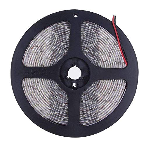 GJNVBDZSF 12V 5M 300Led Luz de Tira de Hada Blanca cálida fría no Impermeable Flexible, luz de Cortina Decorativa para la Cocina casera TV Barra de Hielo Decoración