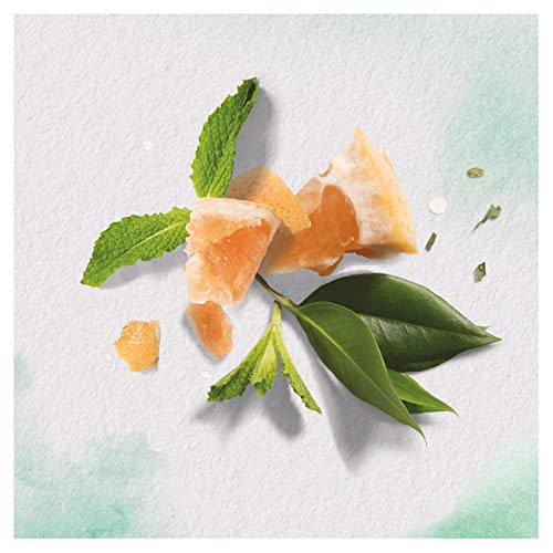 Herbal Essences Pure Pomelo Blanco Volumen Acondicionador 200 ml – Lote de 3