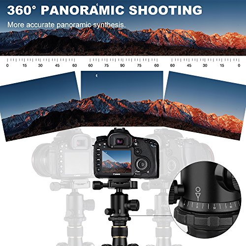 K&F Concept Trípode Completo TM2324 para Fotografía de Aluminio con 360° Rótula de Bola Panorámica, 1/4" Placa Rápida Liberación y Bolsa de Transporte para DSLR Canon Nikon Sony Cámara