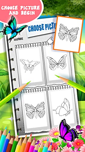 Libro de colorear de mariposa