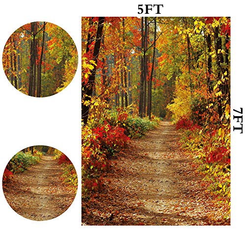 LYWYGG 5x7FT Fondo de Otoño Sendero de Montaña Hojas Caídas Paisaje de Hoja Caduca Contextos de Otoño Árbol y Hojas de Otoño Amarillas Ver Decoraciones de Fiesta Telón de Fondo CP-66