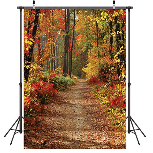 LYWYGG 5x7FT Fondo de Otoño Sendero de Montaña Hojas Caídas Paisaje de Hoja Caduca Contextos de Otoño Árbol y Hojas de Otoño Amarillas Ver Decoraciones de Fiesta Telón de Fondo CP-66