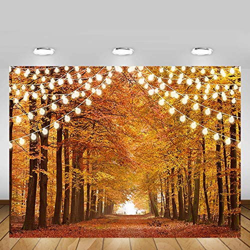 MEHOFOND Glitter Otoño Bosque Foto Estudio Booth Fondo de Booth Props Sparkle Paisaje Natural Paisaje Hojas Arce Fotografía Otoño Fiesta Decoraciones Fondos Banner 2x1.5 m