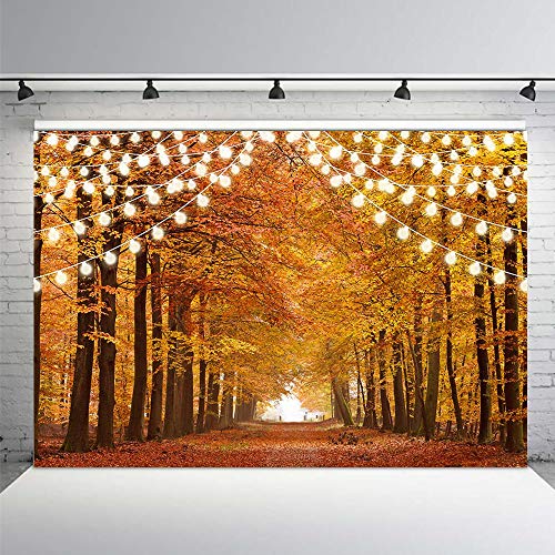 MEHOFOND Glitter Otoño Bosque Foto Estudio Booth Fondo de Booth Props Sparkle Paisaje Natural Paisaje Hojas Arce Fotografía Otoño Fiesta Decoraciones Fondos Banner 2x1.5 m