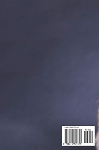 Mi Perro Libro de salud: Pomerania | 109 páginas 15cm x 23cm A5 | Cuaderno para llenar | Agenda de Vacunas | Seguimiento Médico | Visitas Veterinarias | Diario de un Perro | Contactos