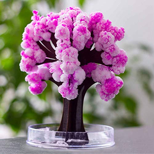 MonstruoManía Árbol Mágico Sakura, Flores de Cerezo, Kit para Árbol Japonés en Miniatura, Decoración Natural