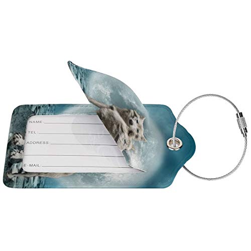 Moonlight White Wolf Personalizado Cuero Lujo Maleta Etiqueta Set Accesorios de Viaje Etiquetas de Equipaje