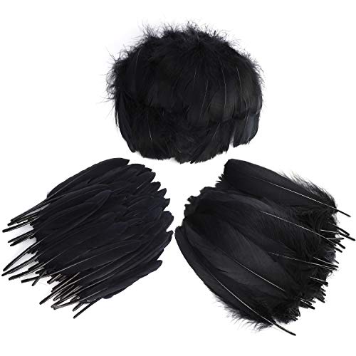 Mwoot Black Feathers Plumas de Ganso, 250pcs Negro Natural Plumas de Gallo Manualidades Decoración para Disfraces Hats, Hogar Bricolaje, Ropa Casa Fiesta (accesorio de disfraz)