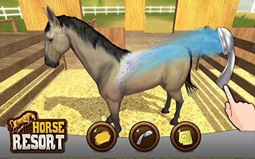 My horse hotel resorts : train & care horses