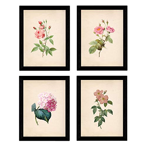 Nacnic Set de Cuatro láminas para enmarcar Estilo botánica. Set Soft Pink Rosa Suave en tamaño A4 Impreso en Papel 250 gr y tintas Fondo Papel Vintage. Flores Tonos Rosas. Sin Marco.