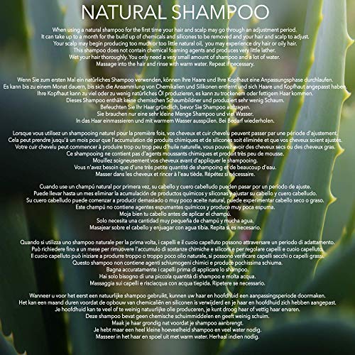 NATURAL - CHAMPÚ - SIN PERFUME & VEGANO - 250ml - por NATURE'S INTERVENTION - Sin Sulfatos, Sin Parabenos, Sin Silicona. Concentrado, Fàcil de Enjuagar.