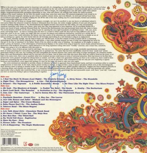 Nuggets: Original Artyfacts From 65-68 [Vinilo]