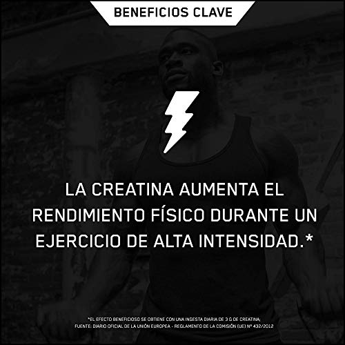 Optimum Nutrition ON Creatina Monohidrato Micronizada, Creatine en Polvo, Suplementos Deportivos para Musculacion, Sin Sabor, 176 Porciones, 634g