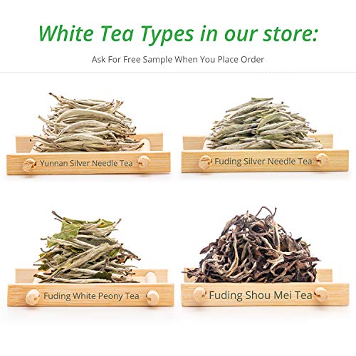 Oriarm 100g / 3.53oz Fuding Silver Needle Té Blanco Chino Loose Leaf - Chinese Silver Tips White Tea - Fuding Baihao Yinzhen 2nd Grade - Naturally Processed