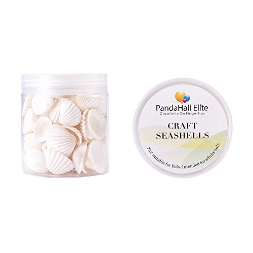 PandaHall 160g Cuentas de Concha Natural Colgantes Dijes con Agujeros para la fabricación de artesanías, decoración del hogar, Fiesta en la Playa, pecera y Rellenos de jarrones (Blanco)