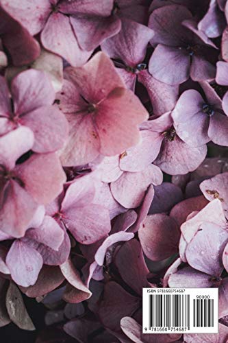 Passwort Buch: Dieses Internet Passwort Buch ist ideal für Senioren und Personen mit mehreren Konten und hilft Ihnen, den Überblick über alle Ihre ... mehr zu behalten (Deckel Violette Geranie)