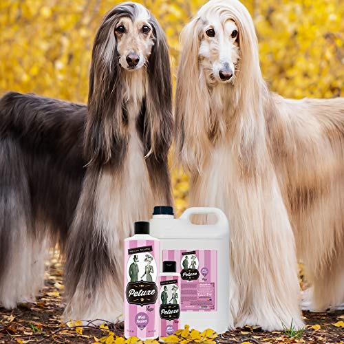 Petuxe Champú Perros y Mascotas Vegano, pelo largo y liso, 500 ml