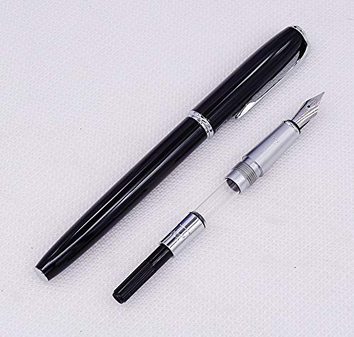 Picasso 916 Malage - Pluma estilográfica (punta fina, punta fina), color negro