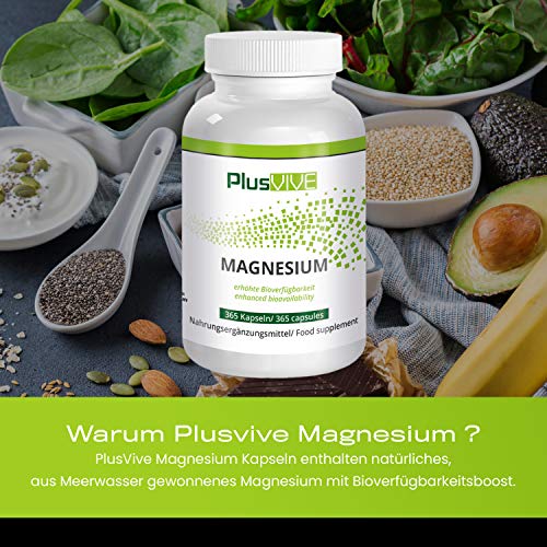 Plusvive - Hidróxido de magnesio con fórmula de mejora de la biodisponibilidad (760 mg), 365 Cápsulas Veganos