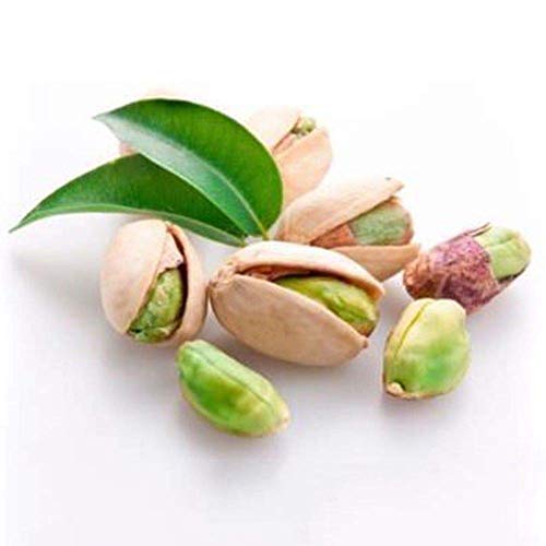 Portal Cool 5 Unids Tuercas de Pistachos de Ãrbol de Nuez Pistacia Semillas Raras de Frutales Semillas de Plantas Tropicales