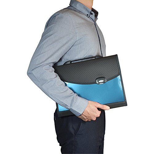 Rapesco Documentos - Carpeta archivadora tipo acordeon A4 con 13 compartimentos, color azul y negro