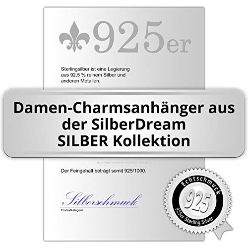 SilberDream Charms – Charm bola lavanda en plata rejilla para charms collares pulseras pendientes – plata 925 Sterling – FC250P