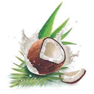 TRESEMMÉ Botanique tratamiento nutritivo con leche de coco y aloe spray 125 ml