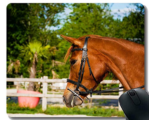 Yanteng Gaming Mouse Pad Custom, Mare Horse, Naturaleza montada con Borde Cosido