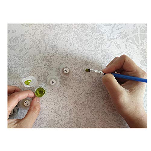 ZYCD Kits de Pintura por números, Ventana, Flor Blanca, Planta, Pintura acrílica DIY para niños y Adultos, Principiantes con Pinceles, Pinturas en Lienzo