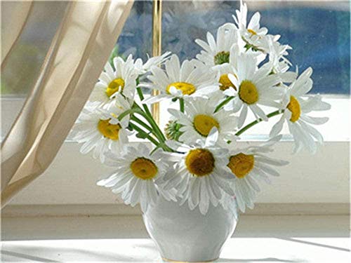 ZYCD Kits de Pintura por números, Ventana, Flor Blanca, Planta, Pintura acrílica DIY para niños y Adultos, Principiantes con Pinceles, Pinturas en Lienzo