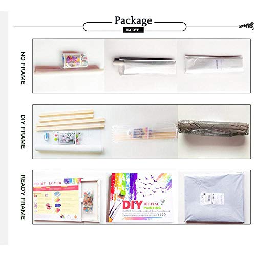 ZYCD Kits de Pintura por números, Ventana, Flor Blanca, Planta, Pintura acrílica DIY para niños y Adultos, Principiantes con Pinceles, Pinturas en Lienzo