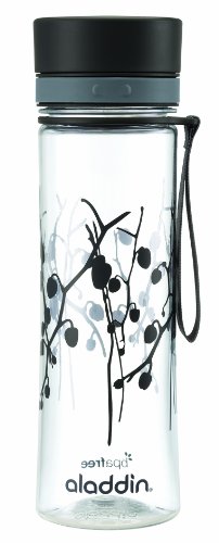 Aladdin Aveo - Botella de agua para niños, color Gris, capacidad: 0,6 L