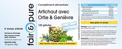 Alcachofa en Cápsulas - Extracto de Alcahofa con Ortiga y Enebro - Vegano - 2,5% Cinarina - Alta pureza - 120 Cápsulas