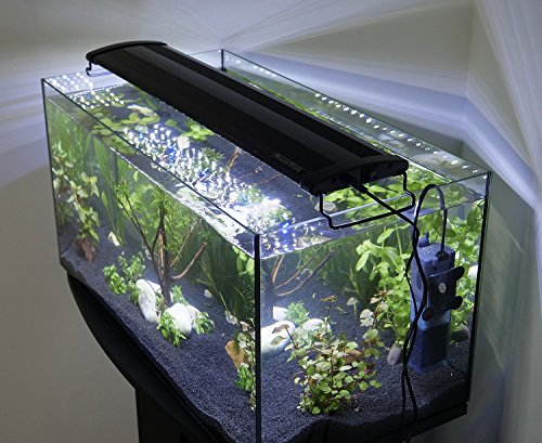 Aqua Light led800 aufsetzl lámpara 20 W para 120 – 130 cm Platillos