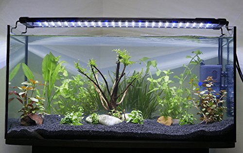 Aqua Light led800 aufsetzl lámpara 20 W para 120 – 130 cm Platillos