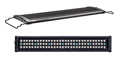Aqua Light led800 aufsetzl lámpara 20 W para 120 – 130 cm Platillos