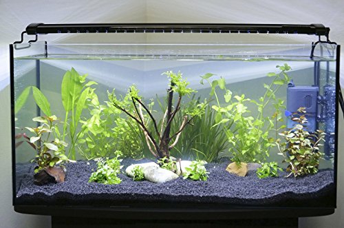 Aqua Light led800 aufsetzl lámpara 20 W para 120 – 130 cm Platillos